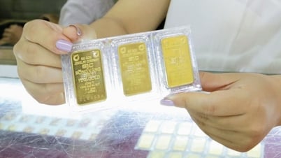 Проверки SJC, PNJ, Bao Tin Minh Chau: рынок золота больше не имеет иммунной зоны