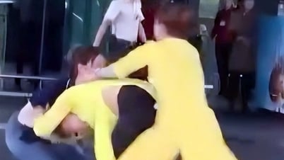 Disziplinarmaßnahmen gegen zwei kämpfende Angestellte am Flughafen Phu Quoc