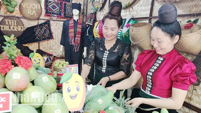 Son La: 5 Baumarten werden beim Yen Chau Mango Festival als Kulturerbe anerkannt