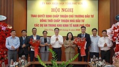 Otorgar decisiones que aprueban políticas de inversión y aprueban inversores para proyectos en la Zona Económica de Nam Phu Yen