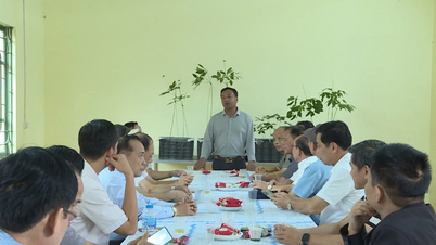 ការដាំដុះយិនស៊ិនបច្ចេកវិទ្យាខ្ពស់នៅលើខ្ពង់រាប Sin Ho