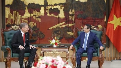 首相は、ベトナム全域のLNG配送センターの建設にEEグループが協力することを提案した。