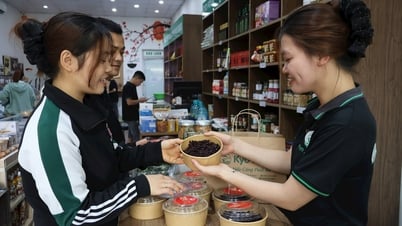 Продукция «Убийца насекомых» пользуется большим спросом