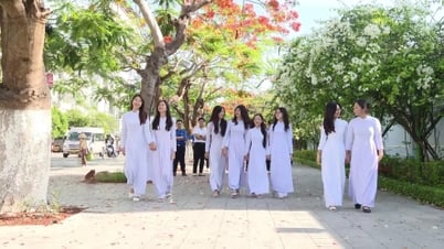 Những mùa hè đã qua…