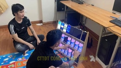 قضية المقامرة بـ 1000 مليار دونج: كيف "تجاوز" المجرمون البيانات الحيوية؟