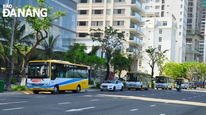 Tiếp tục hoàn thiện quy hoạch, đầu tư hệ thống vận tải hành khách công cộng bằng xe buýt