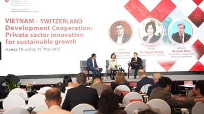 Switzerland allocates 50 million USD to support Vietnam in the period 2025-2028