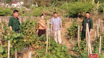 Le crédit préférentiel aide les ménages pauvres à développer leur économie