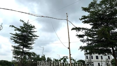 Khu dân cư mới Vi Văn sau nhiều năm vẫn chưa được cấp điện