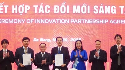 Hơn 20 quỹ đầu tư tham gia Diễn đàn đầu tư mạo hiểm và thiên thần Đà Nẵng