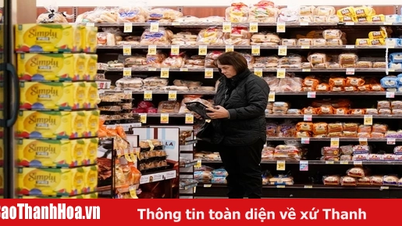 Các công ty toàn cầu thiệt hại hơn 34 tỷ USD do chính sách thuế của Mỹ