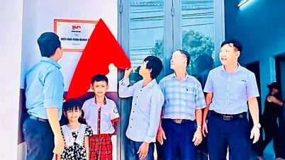 تقوم شركة كيو سون بتنويع الموارد للقضاء على السكن المؤقت