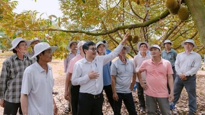 ការ​លុប​បំបាត់​ឧបសគ្គ​សម្រាប់​ទុរេន​វៀតណាម​ក្នុង​ការ​នាំ​ចេញ «សង្វៀន»