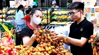 ลิ้นจี่ไหดองจะวางจำหน่ายในซุปเปอร์มาร์เก็ตและศูนย์การค้าในเมืองไฮฟอง