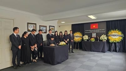 Livre de condoléances et de funérailles pour l'ancien président Tran Duc Luong en Turquie