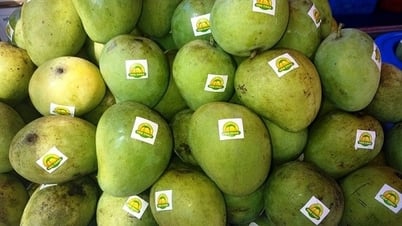 El mango Yen Chau expande su marca y mercado