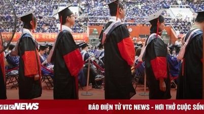 Une prestigieuse université suscite la controverse lors du recrutement de directeurs de cantine titulaires d'un doctorat