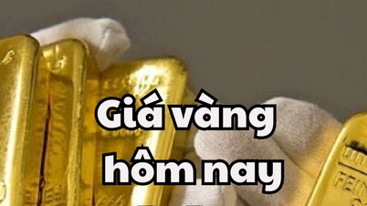 Gold price today May 31, 2025: Domestic and world gold prices plummet, prices are red