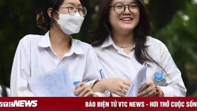Giỏi tiếng Anh, nữ giới nên chọn ngành học gì để lương cao?