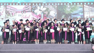 Giáo dục vì tương lai vươn mình: Hành trình từ TH School Vinh