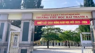 Xem xét kiểm điểm giáo viên nhờ gỡ bài phản ánh thu chi của trường trên mạng xã hội