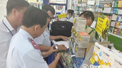 密輸、貿易詐欺、偽造品に対する対策のポイント