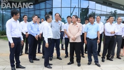 Đoàn công tác Quốc hội kiểm tra các địa điểm dự kiến xây dựng Trung tâm tài chính quốc tế và Khu thương mại tự do Đà Nẵng