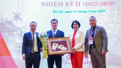 Võ thuật tổng hợp Việt Nam nỗ lực nâng tầm vị thế