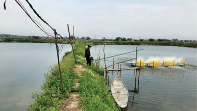 Phú Xuân phát triển kinh tế đầm phá bền vững