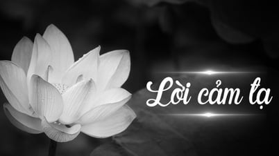 Lời cảm tạ Lễ tang đồng chí Nguyễn Văn Hạng, nguyên Ủy viên Ban Thường vụ Tỉnh ủy, Nguyên Phó Chủ tịch UBND tỉnh Thái Bình