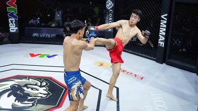 MMA를 국가 경쟁 시스템에 도입