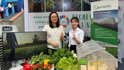 Doanh nghiệp Việt chuyển đổi xanh: Từ nhà kính thông minh đến mũ bảo hộ số hóa