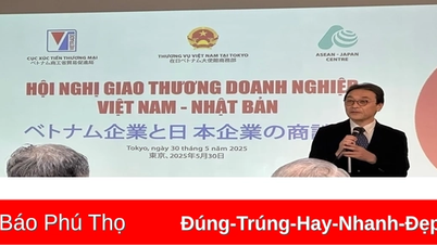 ជំរុញកិច្ចសហប្រតិបត្តិការសេដ្ឋកិច្ច និងពាណិជ្ជកម្មរវាងវៀតណាម និងជប៉ុន