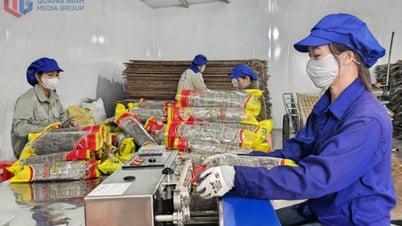 Gia tăng giá trị cho nông sản