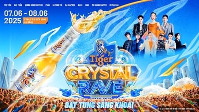 Các ravers đếm ngược từng ngày tới Tiger Crystal Rave 2025 tại Đà Nẵng