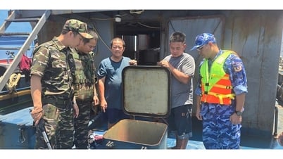 Seized 75m3 of liquid suspected to be DO oil, value of illegal goods 1.3 billion VND