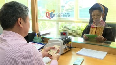 Ba Chẽ hướng tới mục tiêu trở thành trung tâm kinh tế lâm nghiệp và cây dược liệu