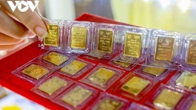Цена на золото сегодня 31 мая: золото SJC упало до 118,5 млн донгов/таэль