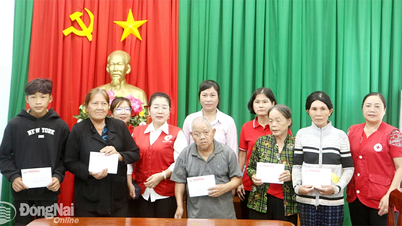 ការភ្ជាប់បេះដូងមនុស្សធម៌