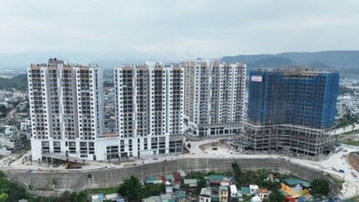 Dự án nhà ở xã hội đầu tiên của tỉnh sẽ bàn giao đợt 1 trong tháng 6