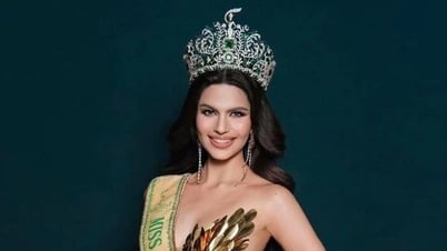 トゥイ・ティエン美人コンテスト主催者は、虐待を受けたと訴えたインド人美人コンテストの女王に対し「反撃」した。