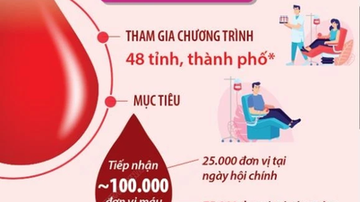 Hành trình Đỏ lần thứ XIII năm 2025: Kết nối dòng máu Việt