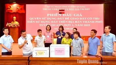 Kết quả đấu giá đất thành phố Tuyên Quang: Lô được trả cao nhất hơn giá khởi điểm gần 3,8 tỉ đồng