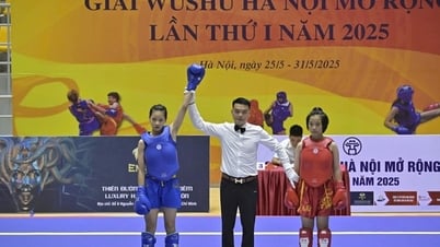 Hanoi ocupó el primer lugar en la delegación general del 1er Torneo Abierto de Wushu de Hanoi en 2025