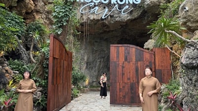 바이투롱 만의 박쥐 동굴을 멋진 레스토랑으로 탈바꿈하다