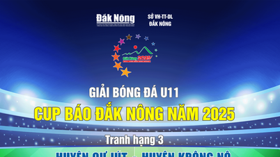 Trực tiếp tranh hạng 3 Giải bóng đá U11 - Cúp Báo Đắk Nông năm 2025: Cư Jút gặp Krông Nô