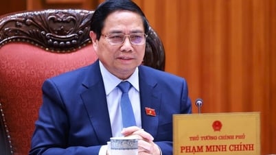 총리는 결의안 제68호를 이행하기 위한 국가 운영위원회 위원장으로 임명되었습니다.