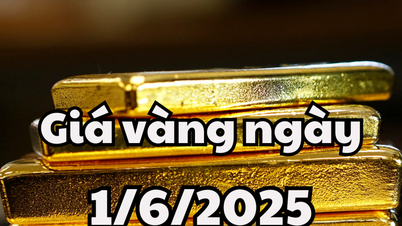 Tin tức giá vàng ngày mai 1/6/2025 giá vàng trong nước neo ở 118,2 triệu, vàng thế giới giữ mức 3.291,99 USD