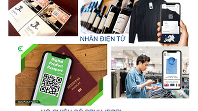 Ciudad Ho Chi Minh: Transformación digital en la cadena de suministro hacia el desarrollo sostenible