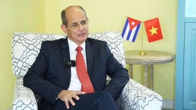 От леса Тайнинь до лекционного зала La Habana — долгий путь дружбы Вьетнама и Кубы